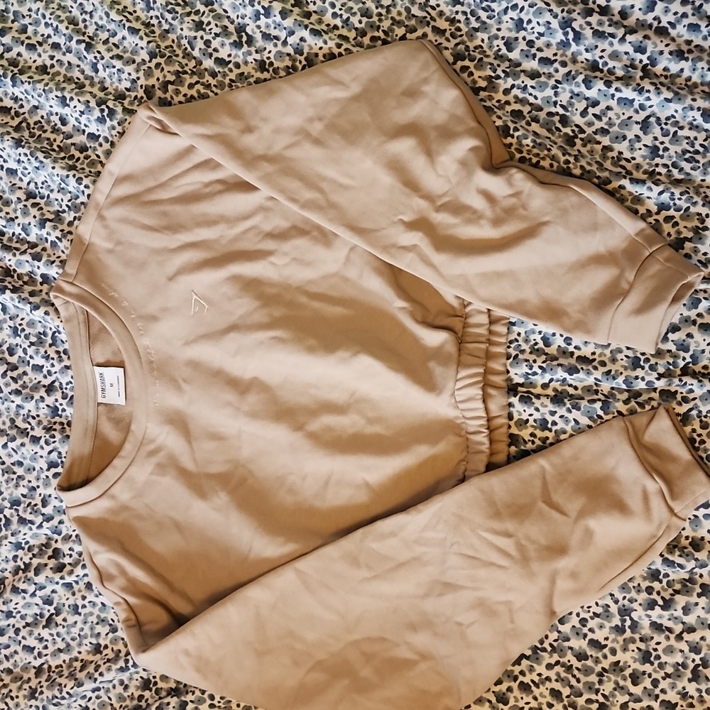Whitney Simmons gym shark collab crop crewneck